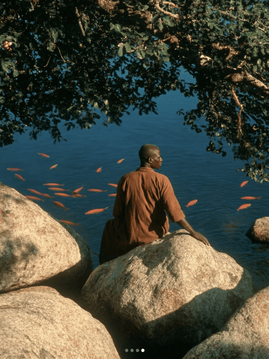 A man sitting on large rocks next to calm water, with orange fish swimming near the surface.