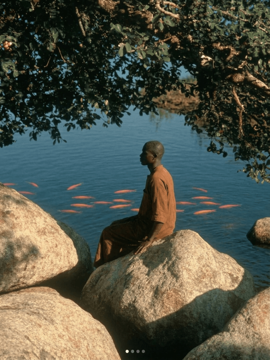 A man sitting on a rock next to clear water with stones and fish.