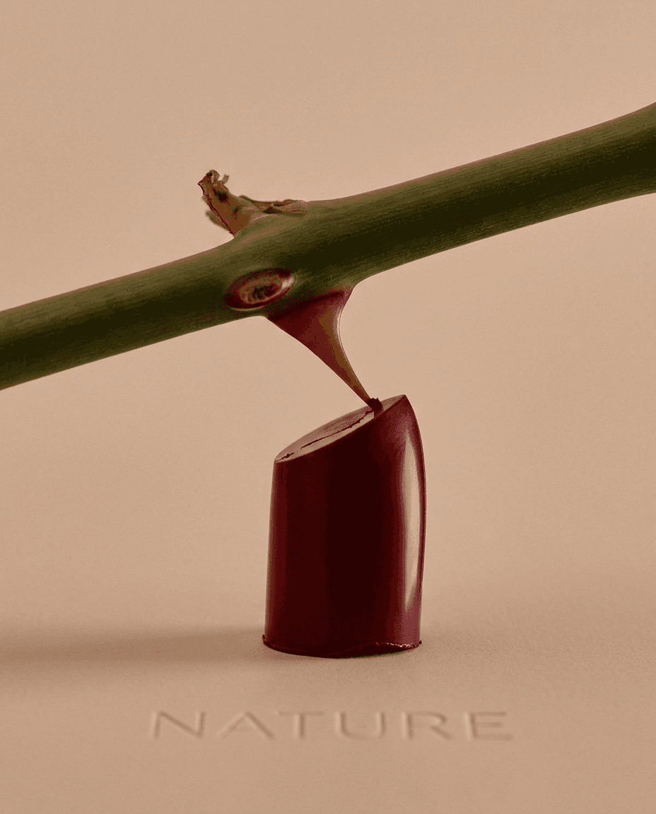 A burgundy object balanced on a green branch with a beige background.
